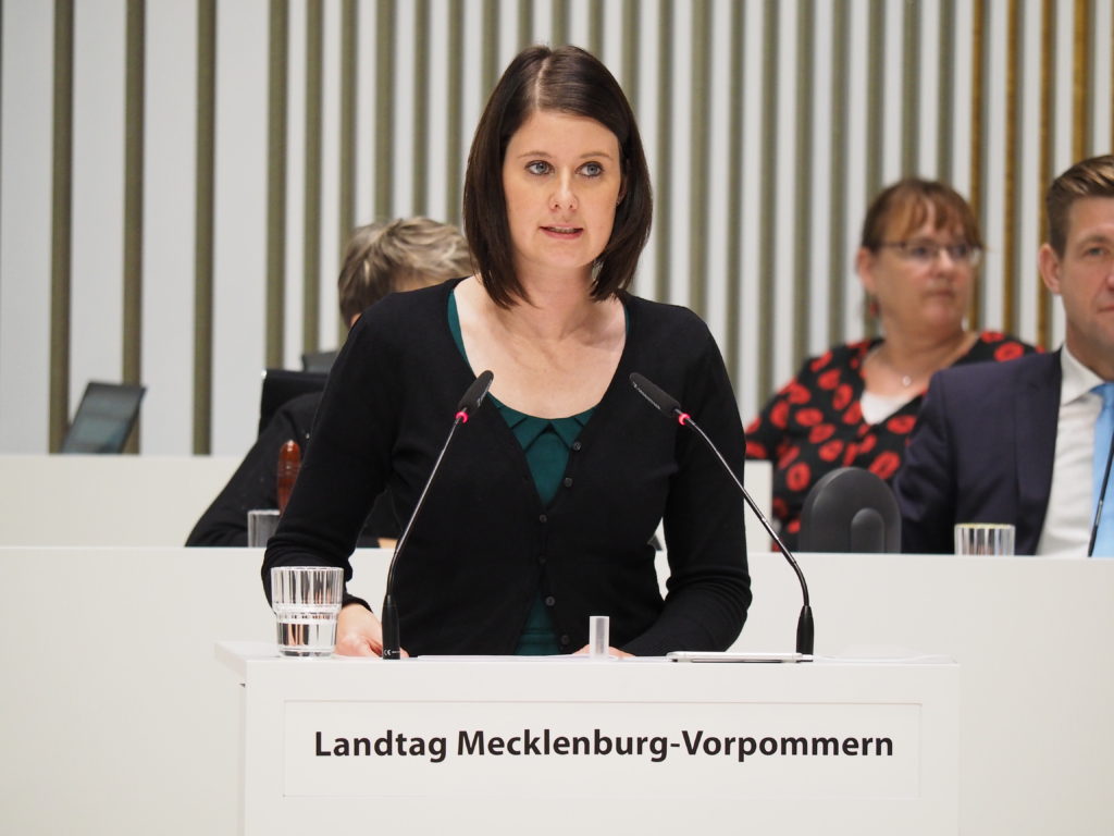 Aus Dem Landtag Archive Ann Christin Von Allwörden 4424